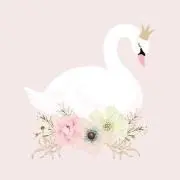swan…♡