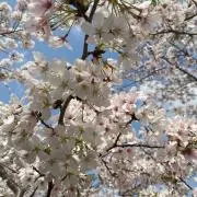 takataka_25の画像