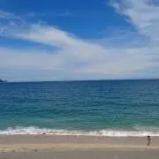 たっくの画像
