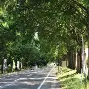 Haruの画像