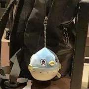 ねるあき