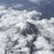 ユキコナの画像