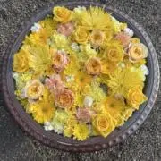 July7の画像