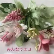 ホーリー5192の画像