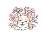 ゆうの画像