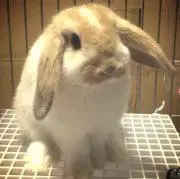 ナカジ