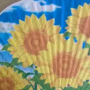 ひいの画像