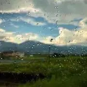 おむすびの画像
