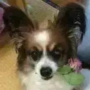 まりょんの画像