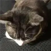 ☆えみ☆プロフ必須！