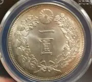 Coin collector