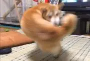 右フックの画像