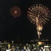 トッシ〜の画像