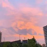 まりこの画像