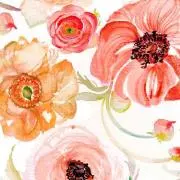 美品のみ★売り切り希望です！の画像