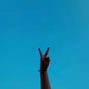 syrsの画像