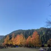 るーの画像