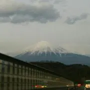 まろんの画像