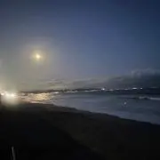 わかの画像