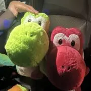 ぽこの画像