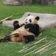 にゃおの画像