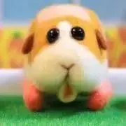 たぬたぬ