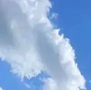 ろんの画像