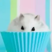 ハムのすけの画像