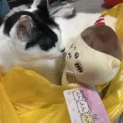 あやの画像