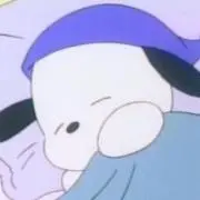 ぽめの画像