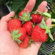 まーちゃん