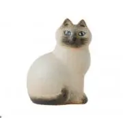 あさこの画像