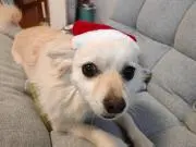 まっちゃんの画像