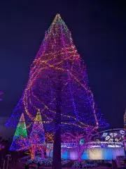 コウスケ　プロフ閲覧必須の画像
