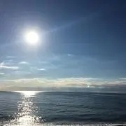 stickoの画像