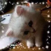 りくこの画像