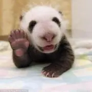 ひーちゃん