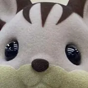 さらの画像