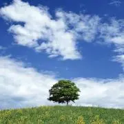 のりもりの画像