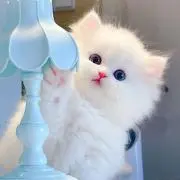 そその画像