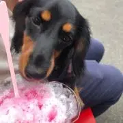 くるみ