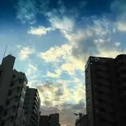 ゆんたの画像