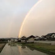 tama⭐︎迅速配送目指してます♪の画像