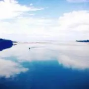 xsx