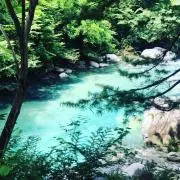 sho-の画像