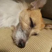 みゆきの画像