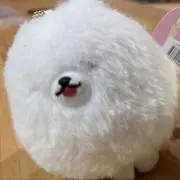 まめの画像