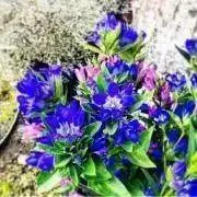 北の国から★プロフ必読！！の画像