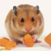 p(^_^)q