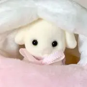 kuu︎☆7/26～29発送不可の画像